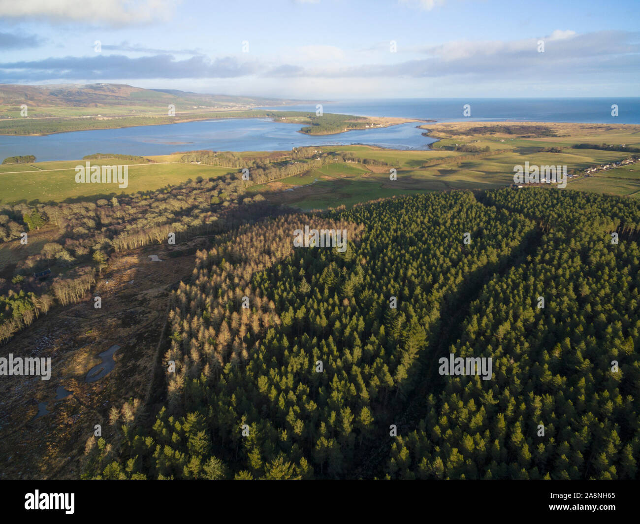 Vista Aerea della Foresta Skelbo Sutherland Scotland Regno Unito Foto Stock