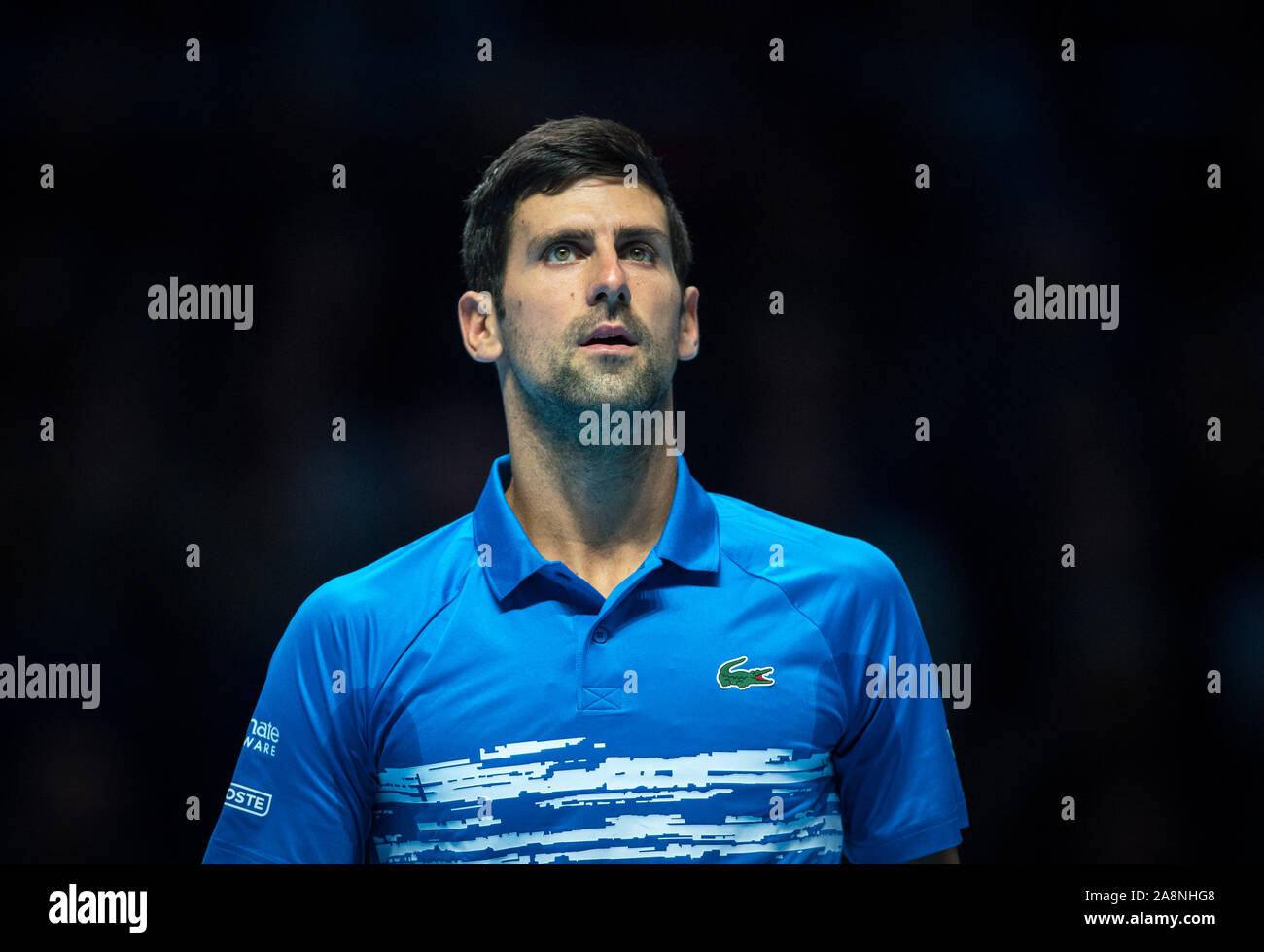 Londra, Regno Unito. Decimo Nov, 2019. Novak Djokovic (Serbia) durante la Nitto tennis ATP Finals Londra presso l'O2, Londra, Inghilterra il 10 novembre 2019. Foto di Andy Rowland. Credito: prime immagini multimediali/Alamy Live News Foto Stock