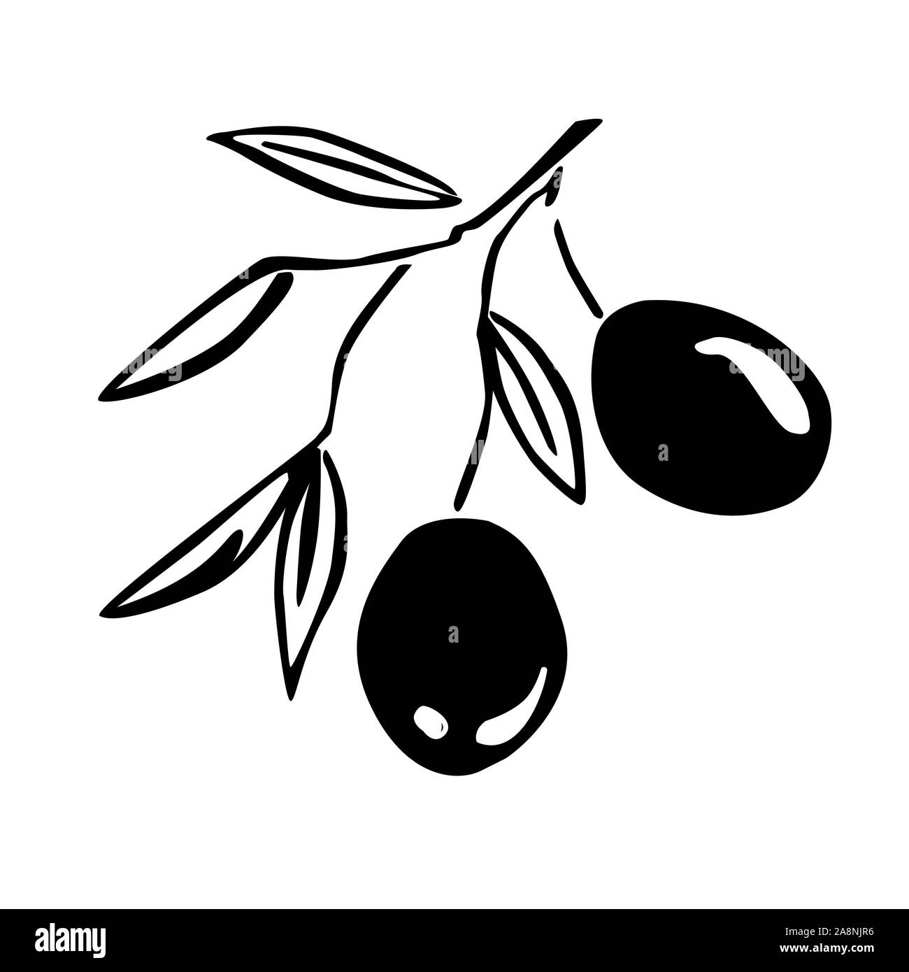 Stilizzata olive branch silhouette con olive nere e foglie. Icona vettore illustrazione per etichette Illustrazione Vettoriale
