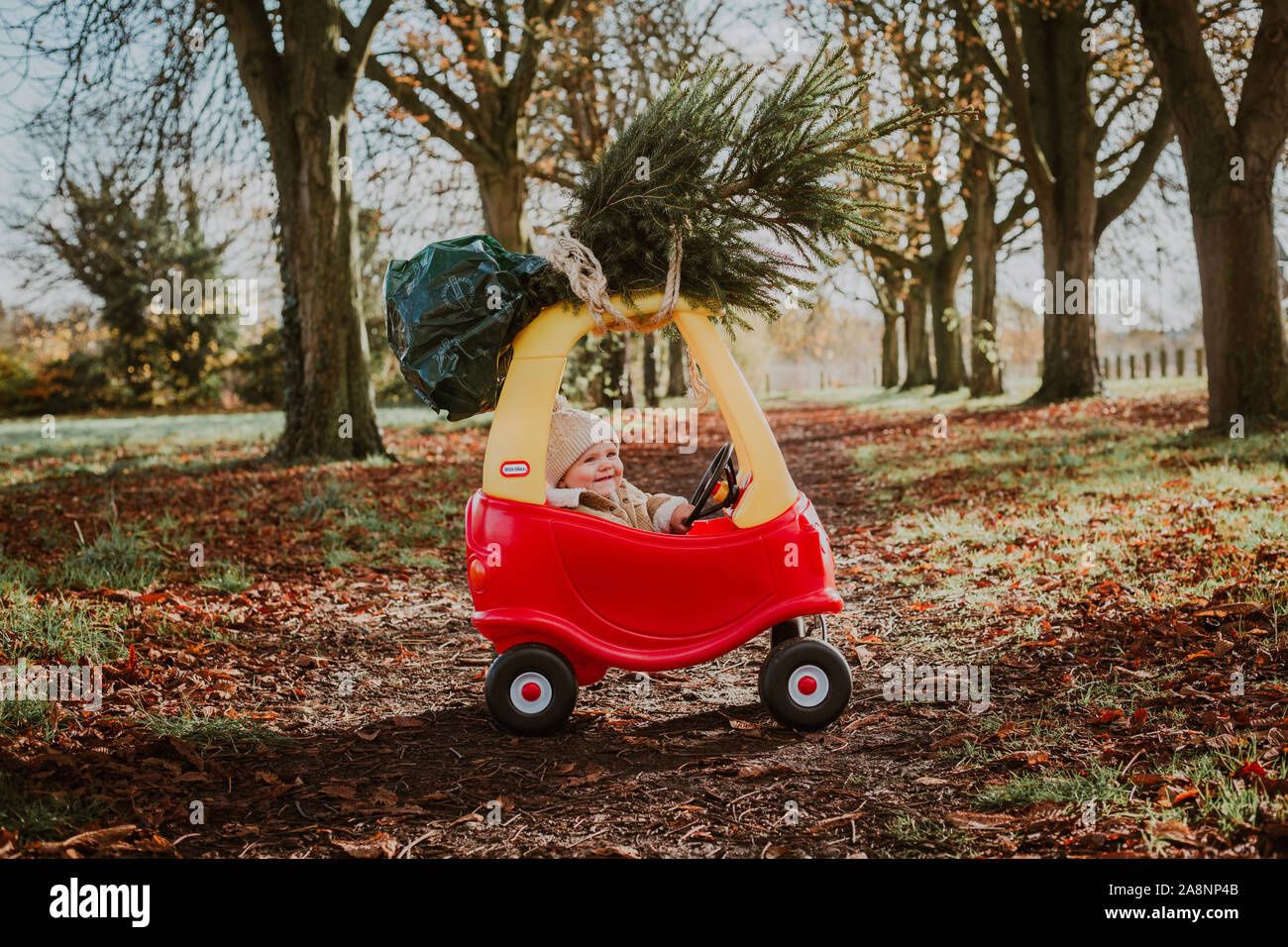 Little Boy portando ad albero di natale Home sulla parte superiore di una macchina giocattolo Foto Stock