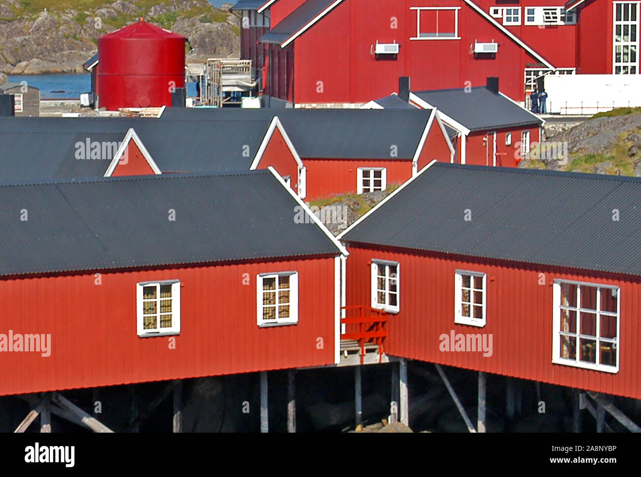 RoofRobuer, Isole Lofoten in Norvegia Foto Stock