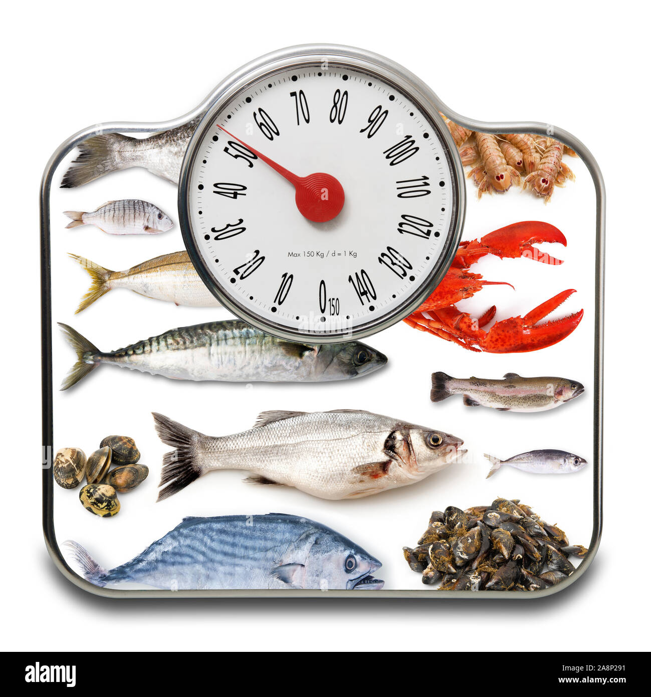 Scale per persone con pesce fresco su sfondo bianco Foto Stock
