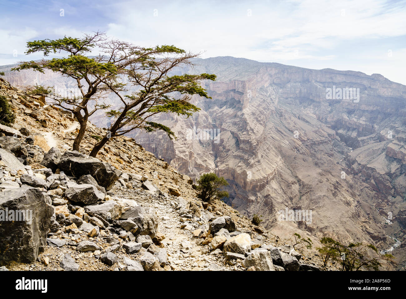 Le formazioni rocciose del Wadi Ghul aka Grand Canyon di Arabia nel Jebel Shams, Oman Foto Stock