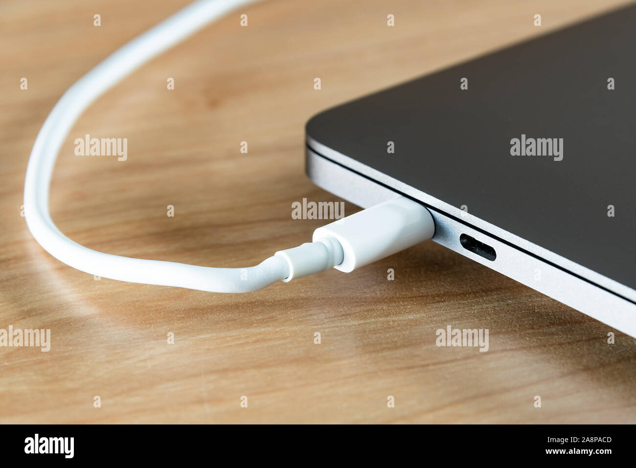 Una porta USB di tipo C e cavo USB tipo C porta in un computer portatile. Foto Stock