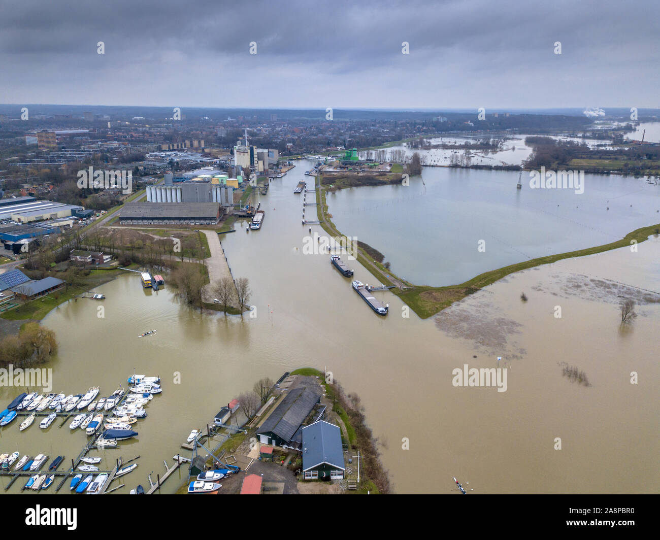 Inondati paesaggio fluviale con zone golenali sommerse lungo il fiume Reno nel periodo invernale nei pressi del porto di Wageningen, Paesi Bassi Foto Stock