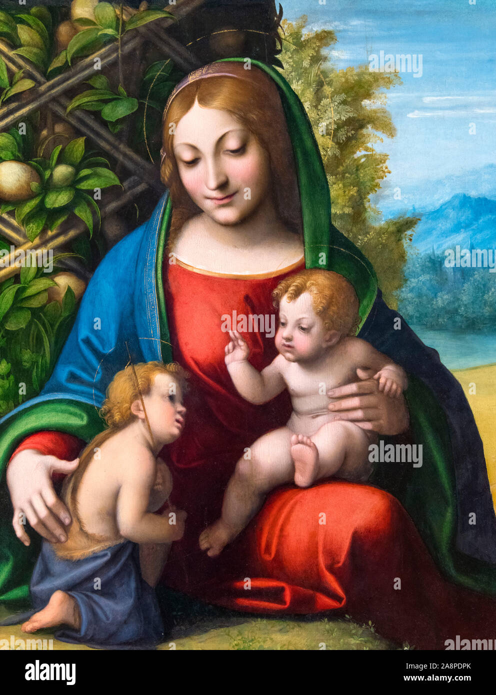 Madonna con Bambino e Neonato San Giovanni Battista di Correggio (Antonio Allegri da Correggio, 1489-1534), olio su pannello in legno, c.1515 Foto Stock