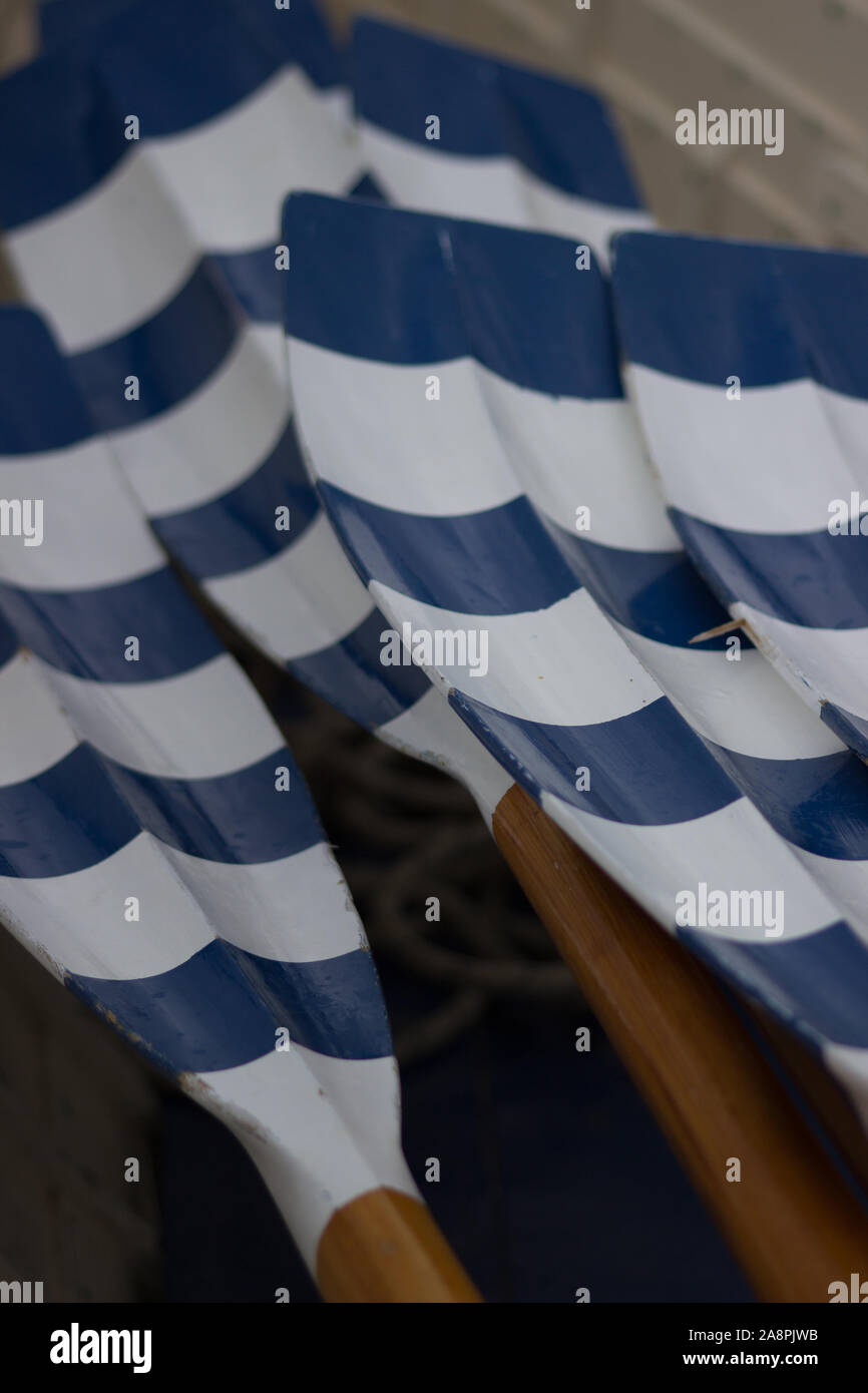 Il canottaggio skiff decorate pagaie skiff Foto Stock