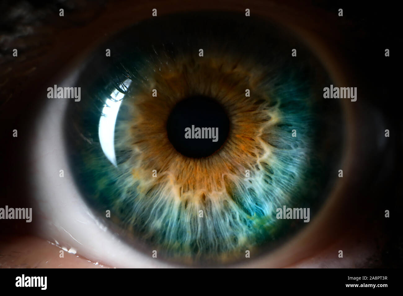 Blu Arancione occhio umano close up sfondo. Foto Stock