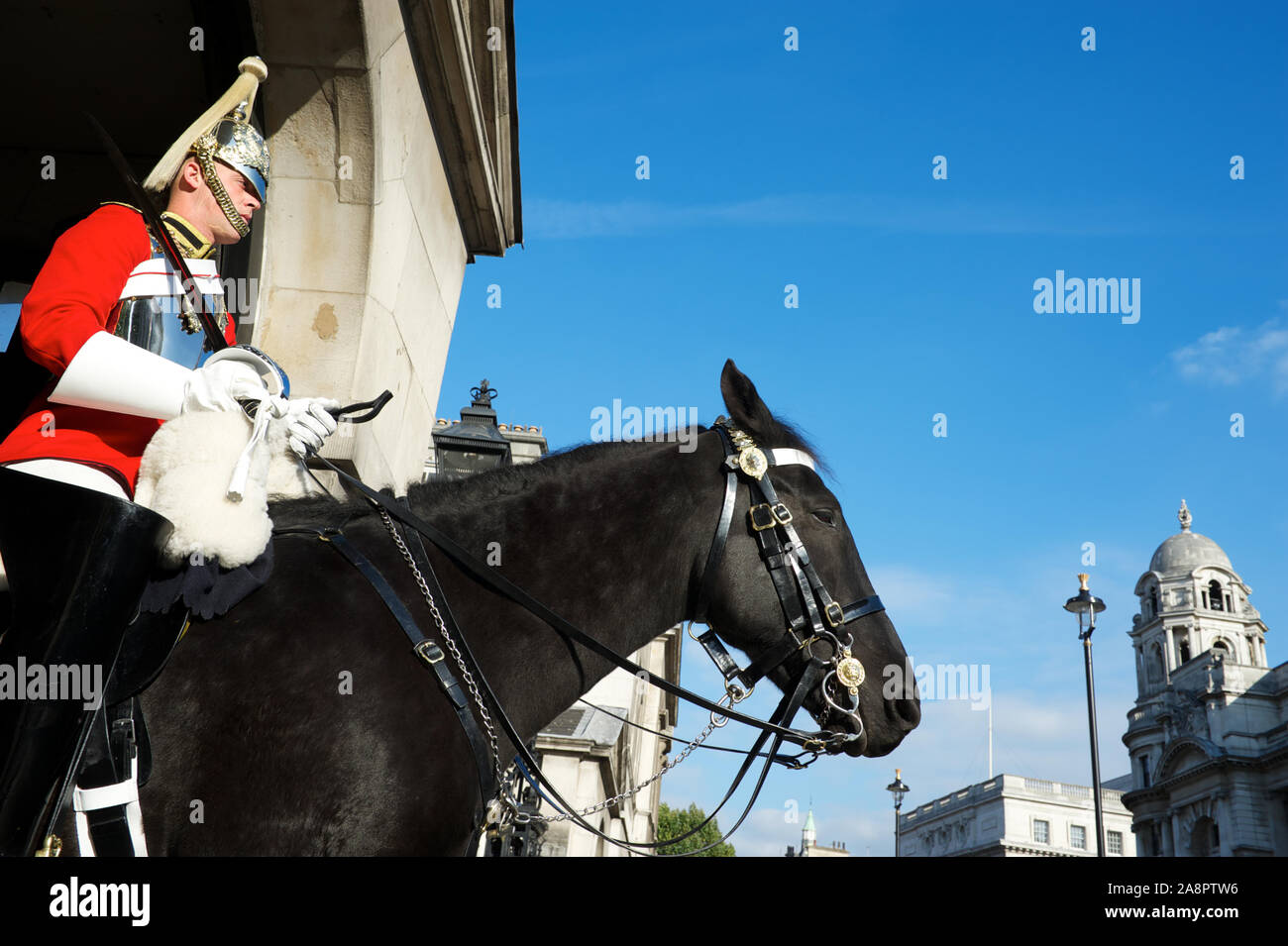 Londra - 23 GIUGNO 2011: Una Guardia di vita montata del Calvario Household si siede su un cavallo nero a Whitehall. Foto Stock