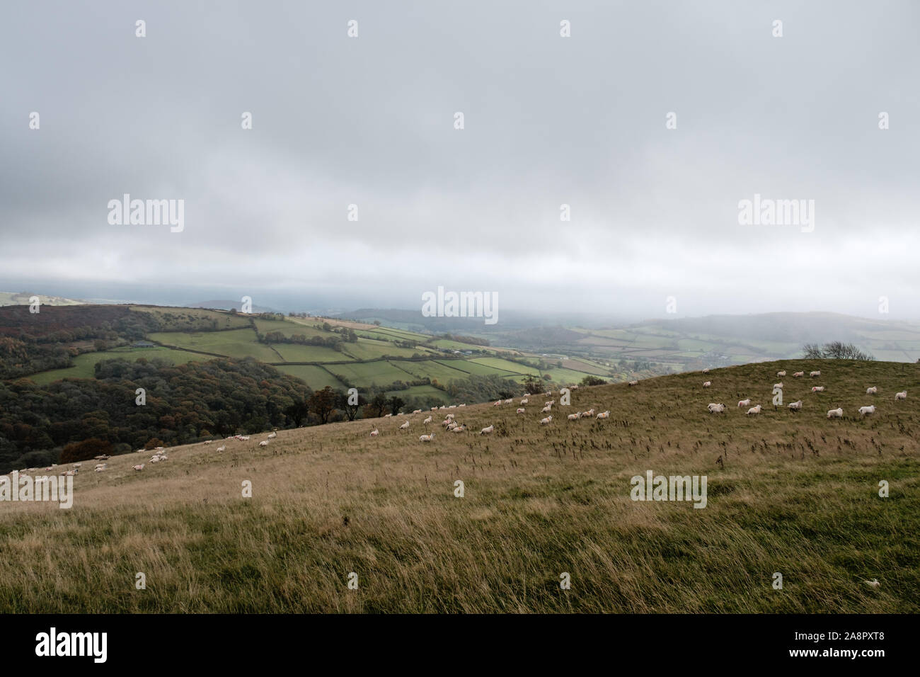 Brecon Beacons Foto Stock