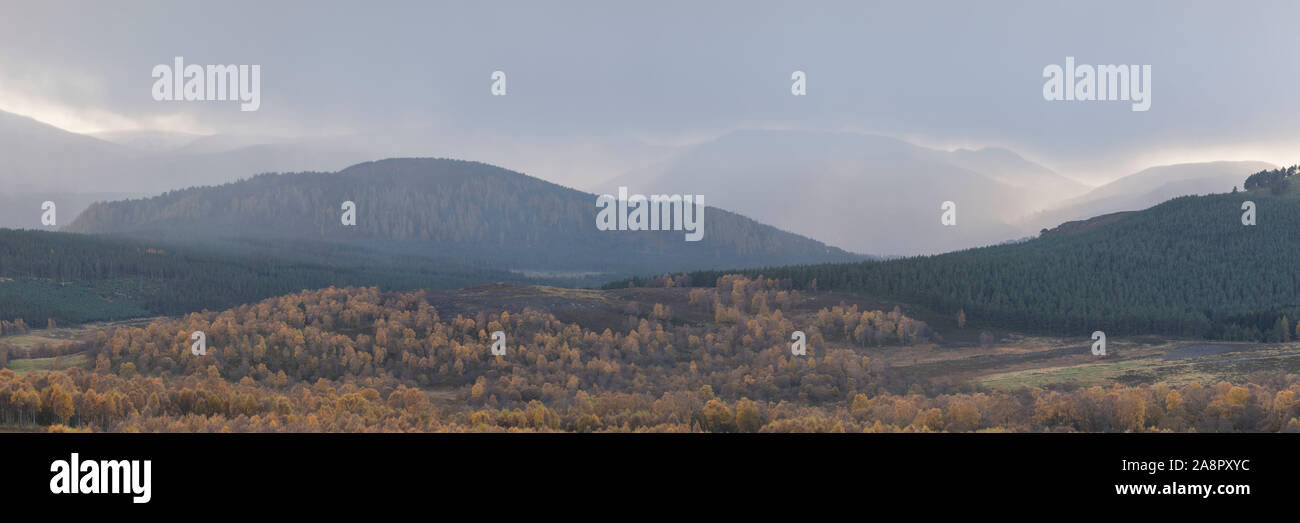 Una tempesta di neve in avvicinamento al Deeside colline nel tardo autunno visto da Glen Feardar nel Parco Nazionale di Cairngorms Foto Stock