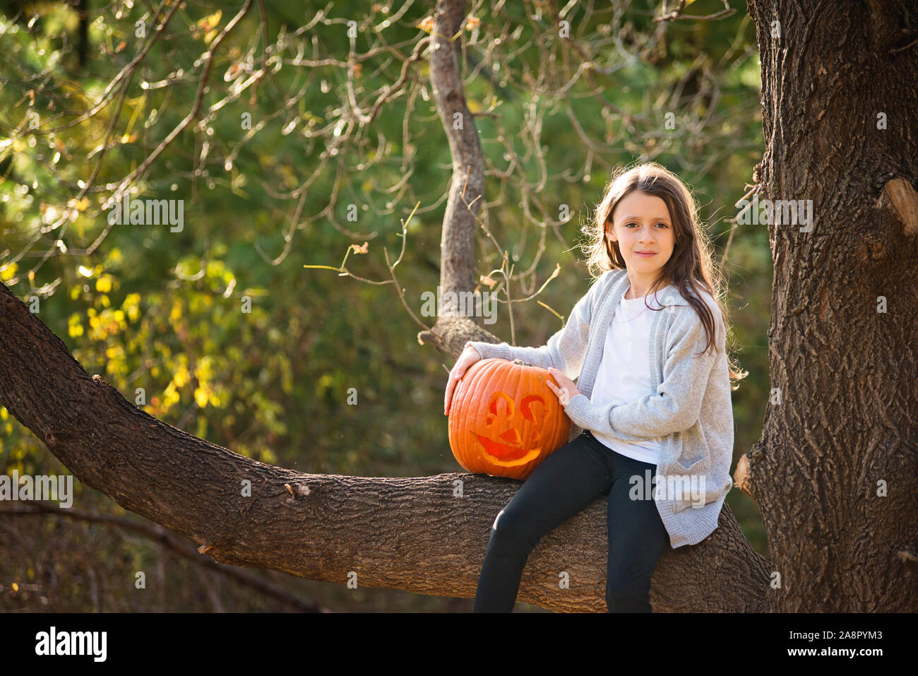 Giovane ragazza seduta nella struttura ad albero con zucca intagliato Foto Stock