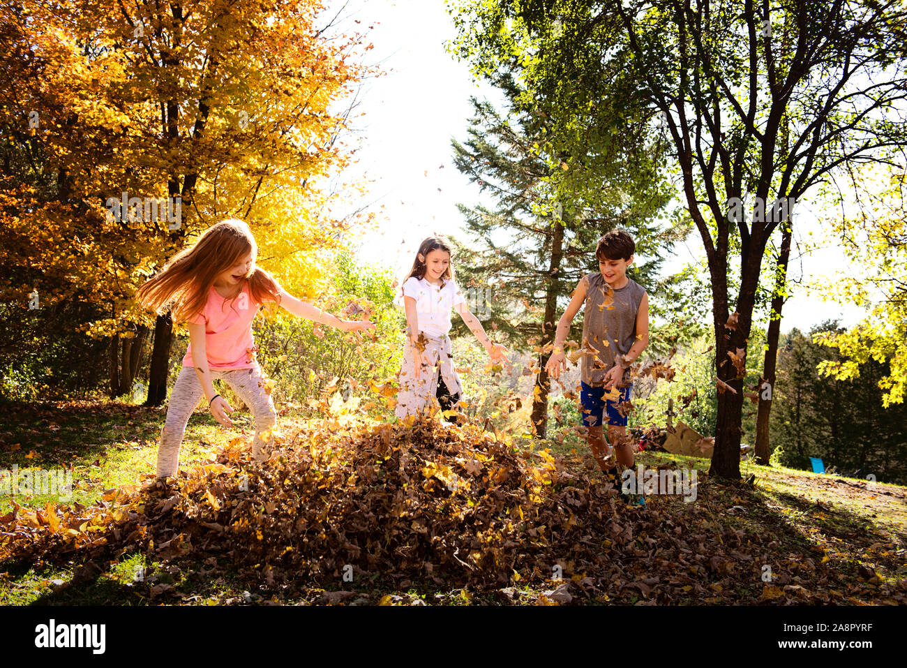 Tre giovani amici a giocare all'aperto in foglie di autunno Foto Stock