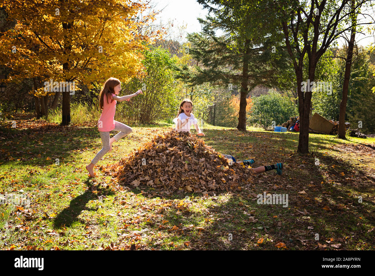 Tre giovani amici a giocare all'aperto in foglie di autunno Foto Stock