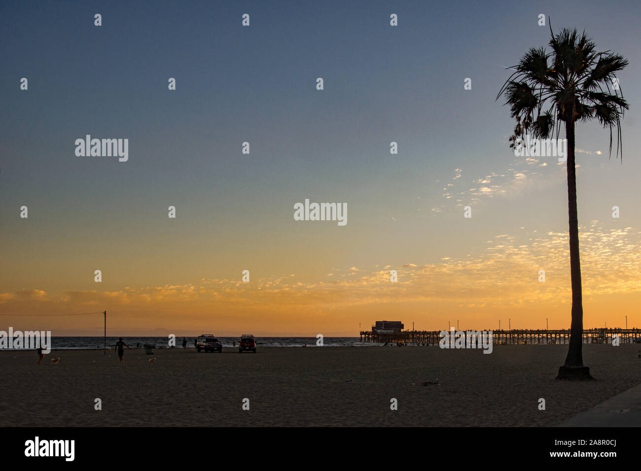 Un cielo rosso al tramonto sull'oceano Pacifico e un lone Palm tree su Newport Beach in California. I bagnini sono la finitura per il giorno Foto Stock