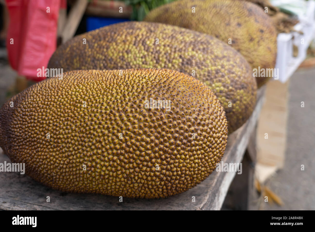 Tutta la grande Jackfruits per la vendita in un mercato di una zona di Cebu, Filippine Foto Stock
