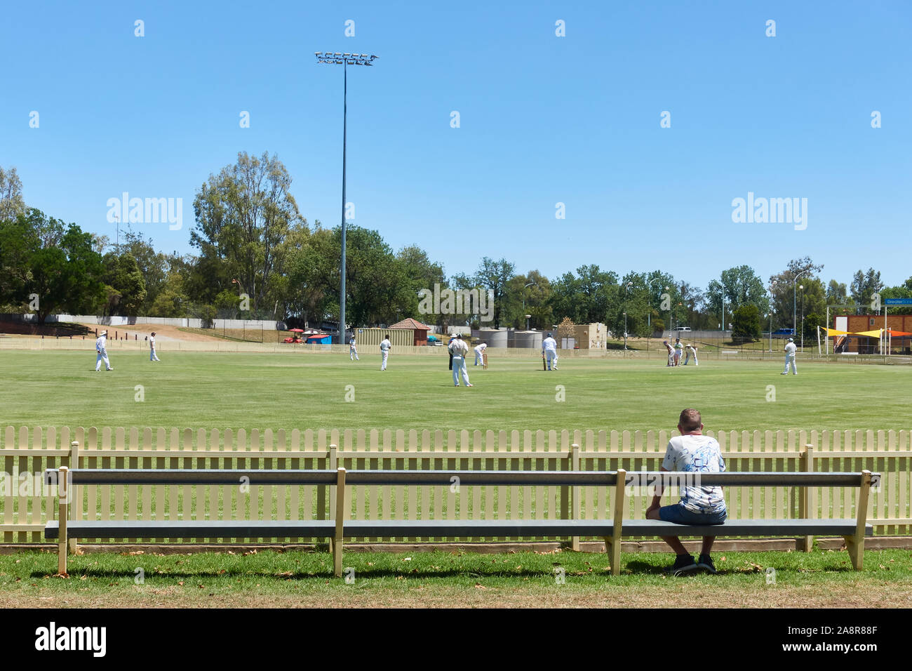 Un lone spettatore orologi locali una partita di cricket. Tamworth Australia. Foto Stock
