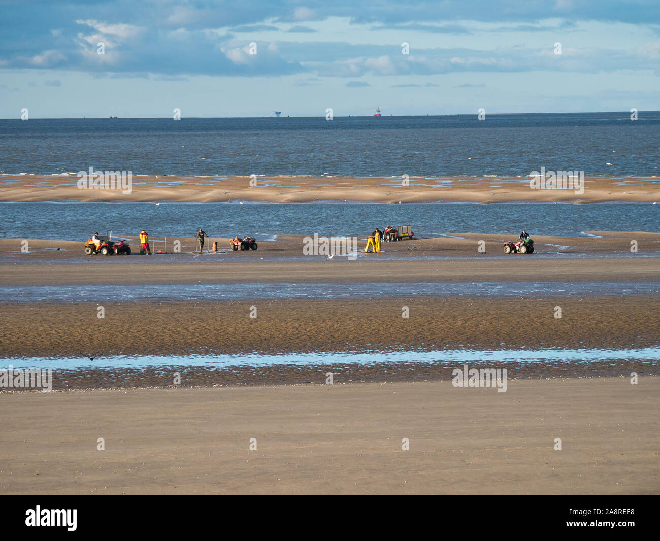 Il Cockle raccoglitori sulle sabbie off New Brighton nel Mersey estuario. Preso in una giornata di sole. Foto Stock