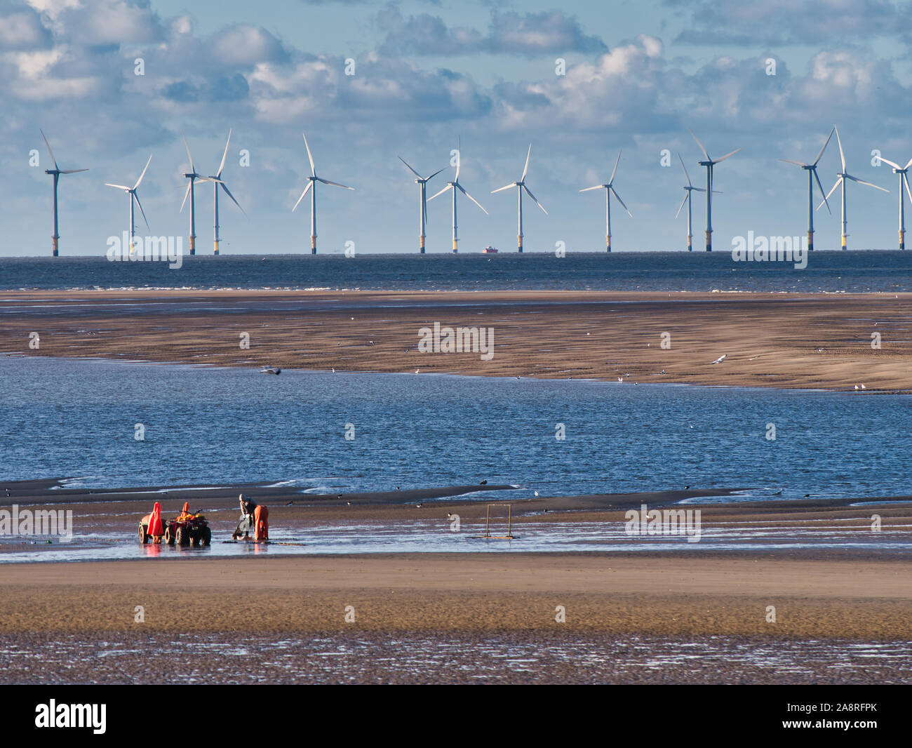 Il Cockle raccoglitori off New Brighton nel Mersey estuario. Le turbine eoliche di Burbo Bank, alcuni tra i più grandi del mondo, appaiono in background. Foto Stock