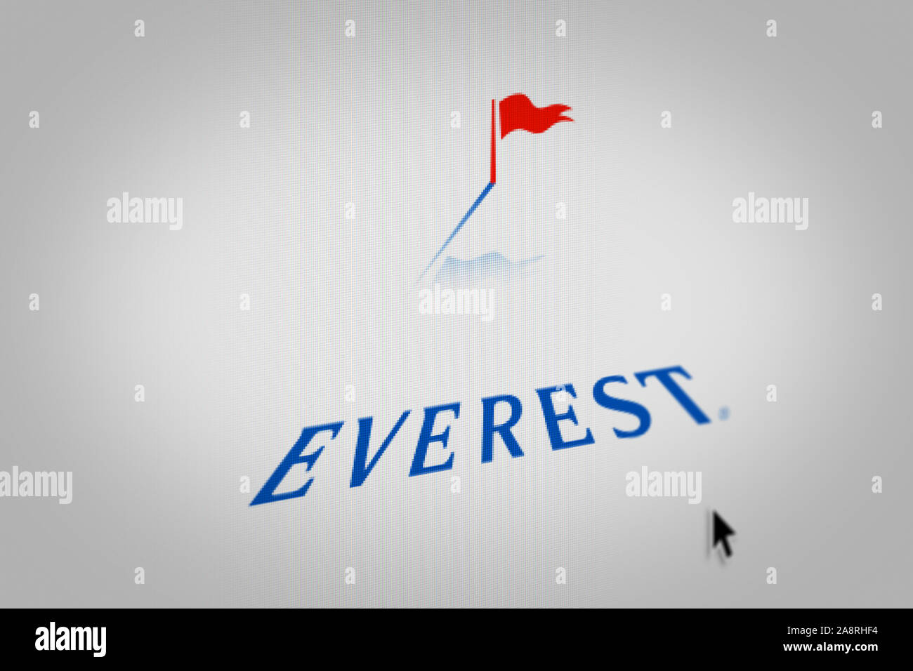 Logo della società pubblica Everest Re Group Ltd, visualizzate sullo schermo di un computer in close-up. Credito: PIXDUCE Foto Stock