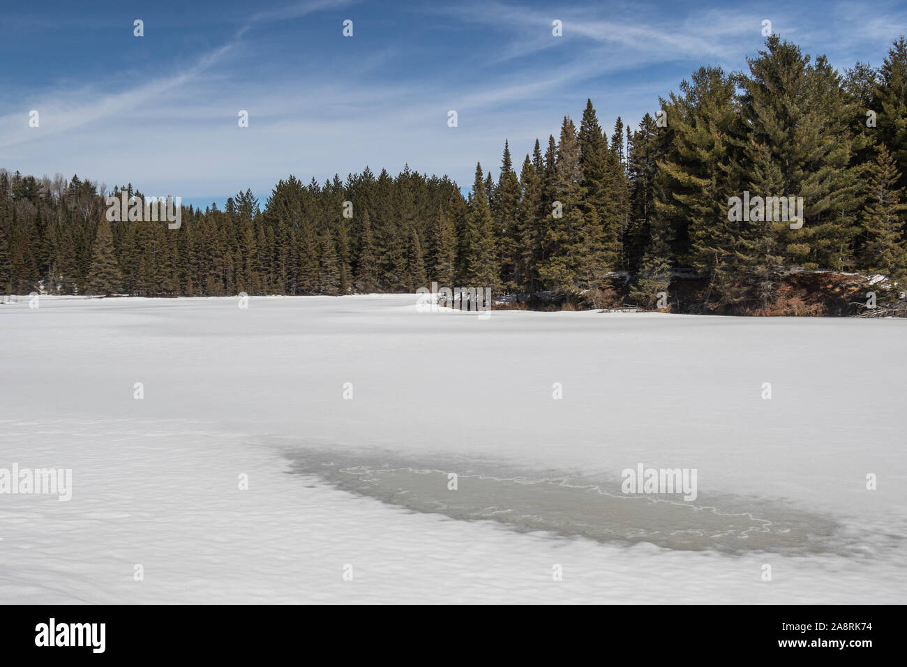 Scena invernale su un lago innevato con foresta sempreverde Foto Stock