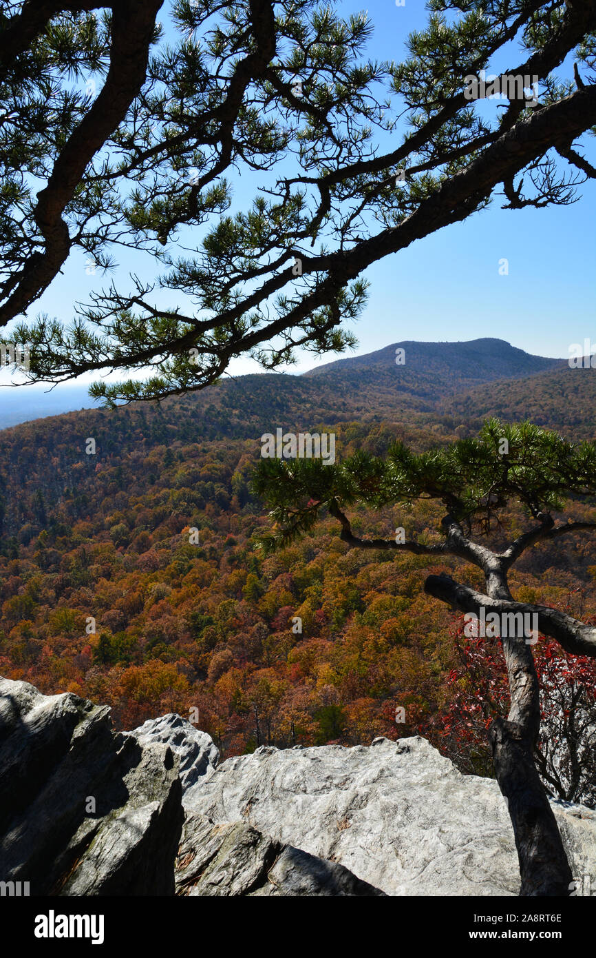 Domina la valle durante la caduta a Hanging Rock State Park al di fuori di Danbury, North Carolina. Foto Stock