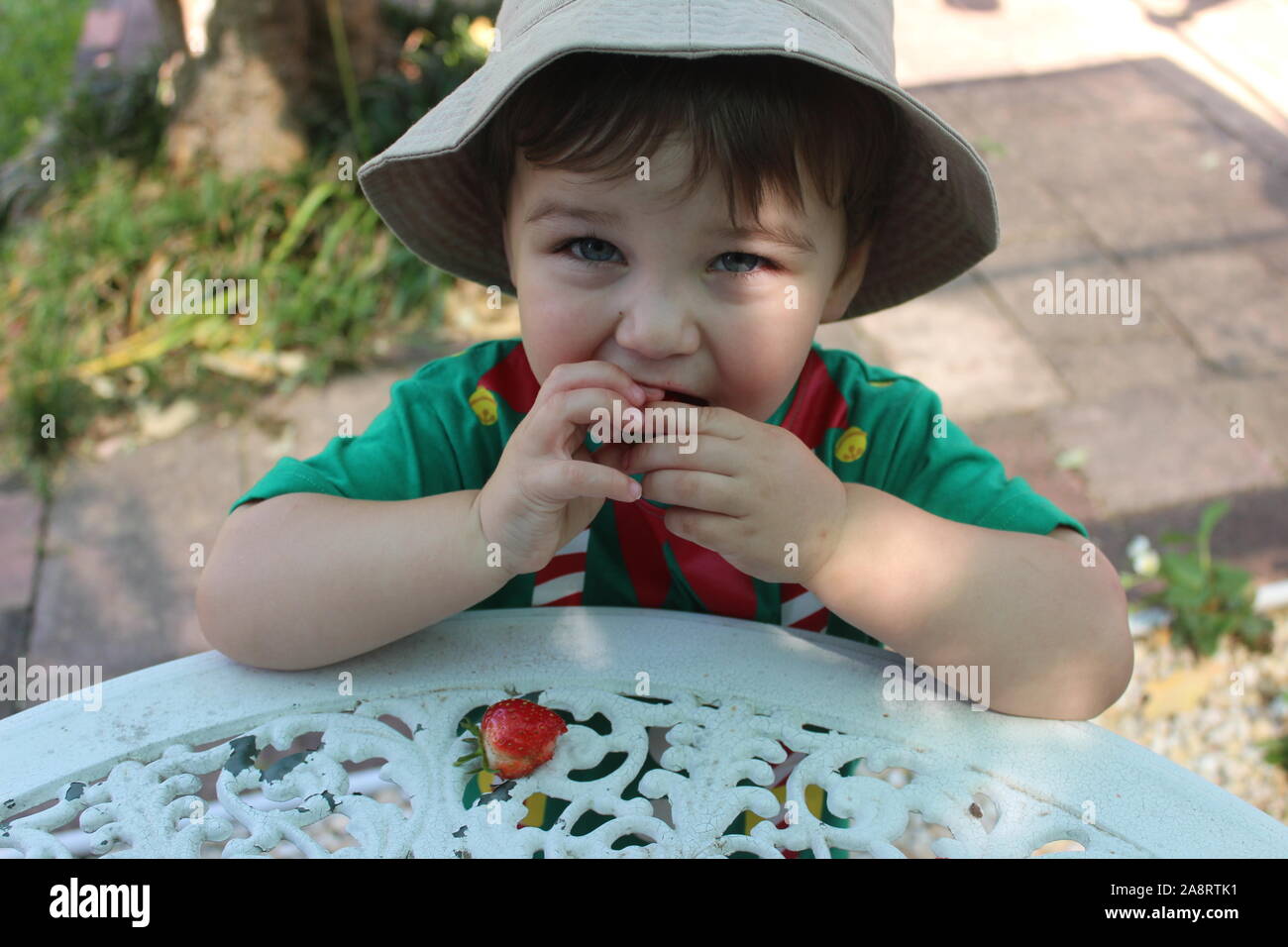 Un giovane bambino mangiare fragole come un bravo ragazzo Foto Stock