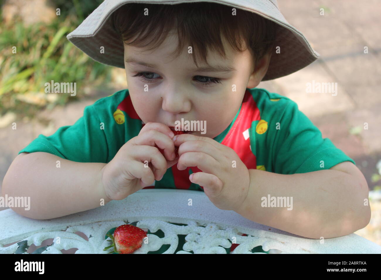 Un giovane bambino mangiare fragole come un bravo ragazzo Foto Stock