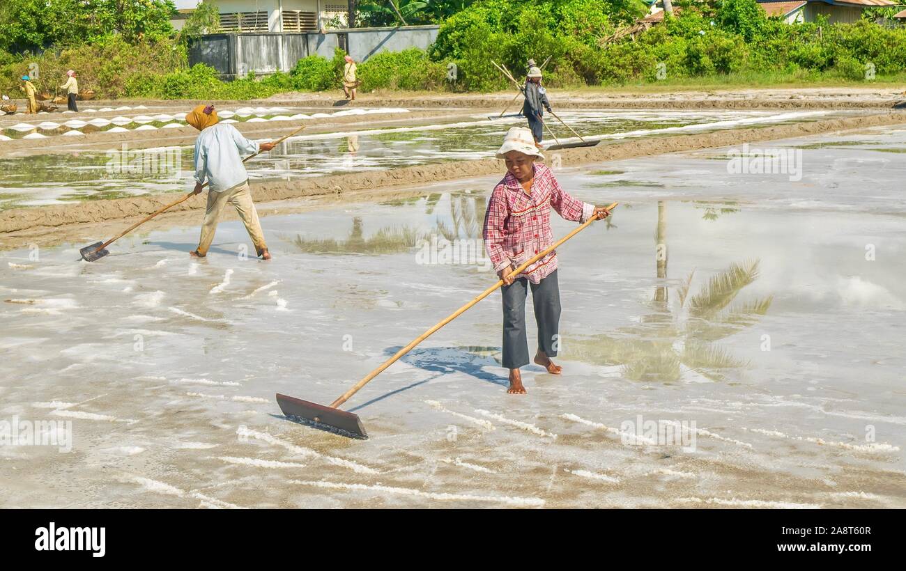 Lavoratori cambogiani la raccolta di sale di mare dai campi su una fattoria rurale nella provincia di Kampot, Cambogia. Foto Stock