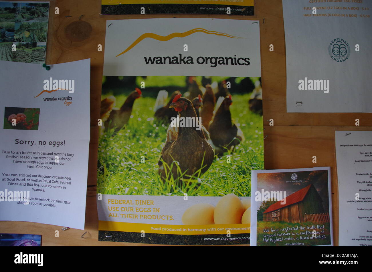 Wanaka organics farm shop onestà capanna. Te Araroa Trail. Glendhu Bay. Isola del Sud. Nuova Zelanda Foto Stock