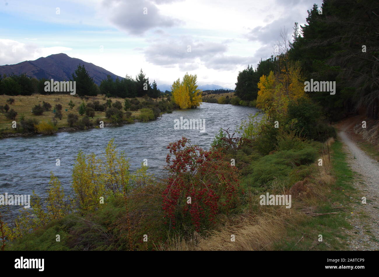 Te Araroa Trail. Hawea via Fiume. Isola del Sud. Nuova Zelanda Foto Stock