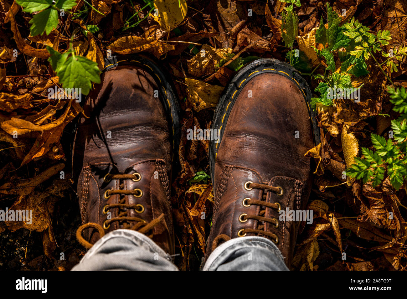 Camminare in un autunno foglia-foresta coperta in stivali in pelle con cuciture gialle e jeans denim da una prospettiva in prima persona che guarda il gro Foto Stock