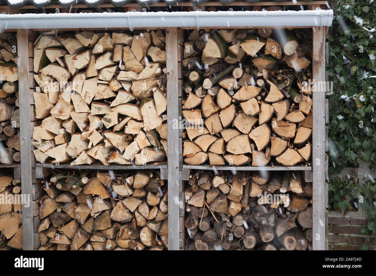 Ciocchi di legna da ardere in una pila di legno capannone per il rimessaggio in inverno mentre nevica all'aperto Foto Stock