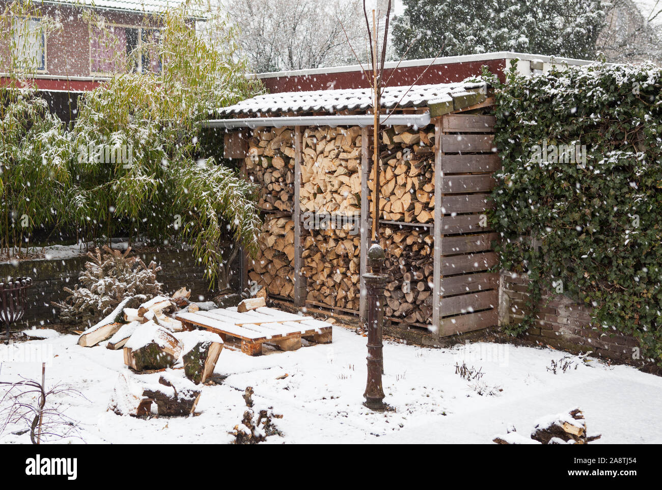 Ciocchi di legna da ardere in una pila di legno capannone per il rimessaggio in inverno mentre nevica all'aperto Foto Stock