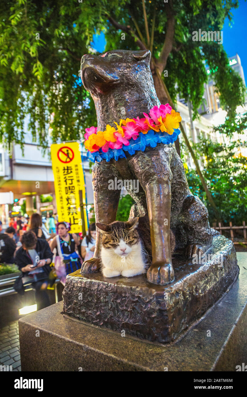 Hachiko monumento, vista della statua in bronzo di Hachiko alla Stazione di Shibuya. Hachiko era un famoso cane che ha aspettato per il proprietario dopo la sua morte. Shibuya, Tokyo, Foto Stock