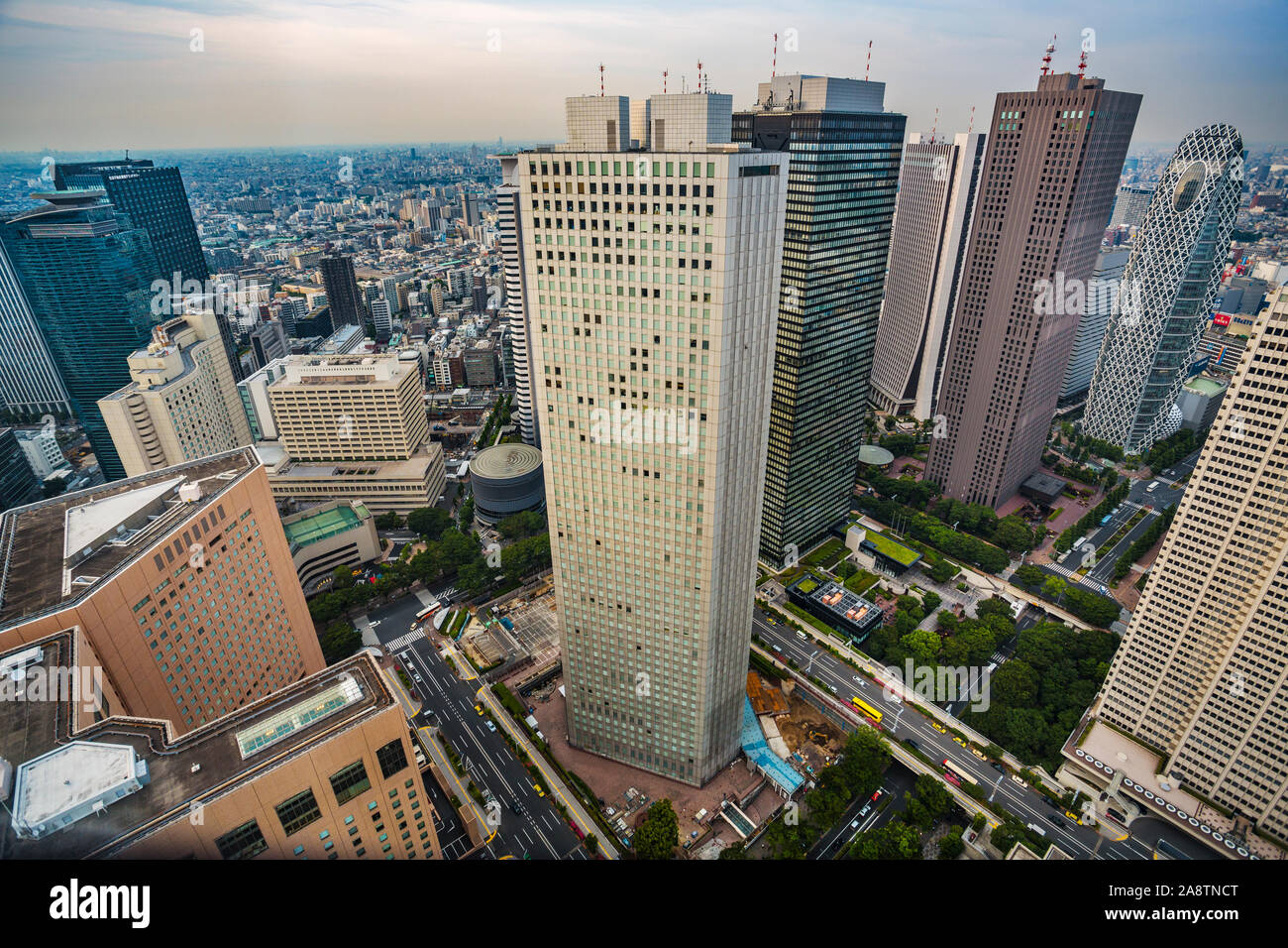 Vista dal Governo Metropolitano di Tokyo edificio o Tocho. Il quartiere di Shinjuku a Tokyo, Giappone, Asia Foto Stock