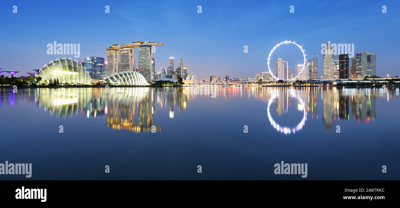 Immagini panoramiche dello skyline di Singapore di notte. Foto Stock
