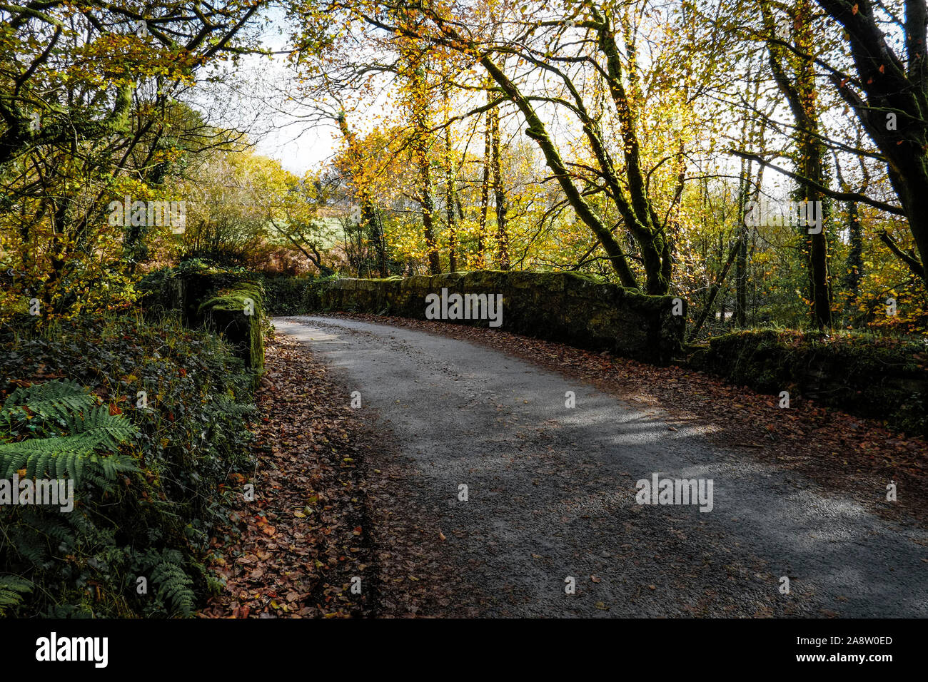 Un vecchio e storico ponte stradale sul fiume Fowey che fluisce attraverso un Draynes autunnali Bosco in Cornovaglia. Foto Stock