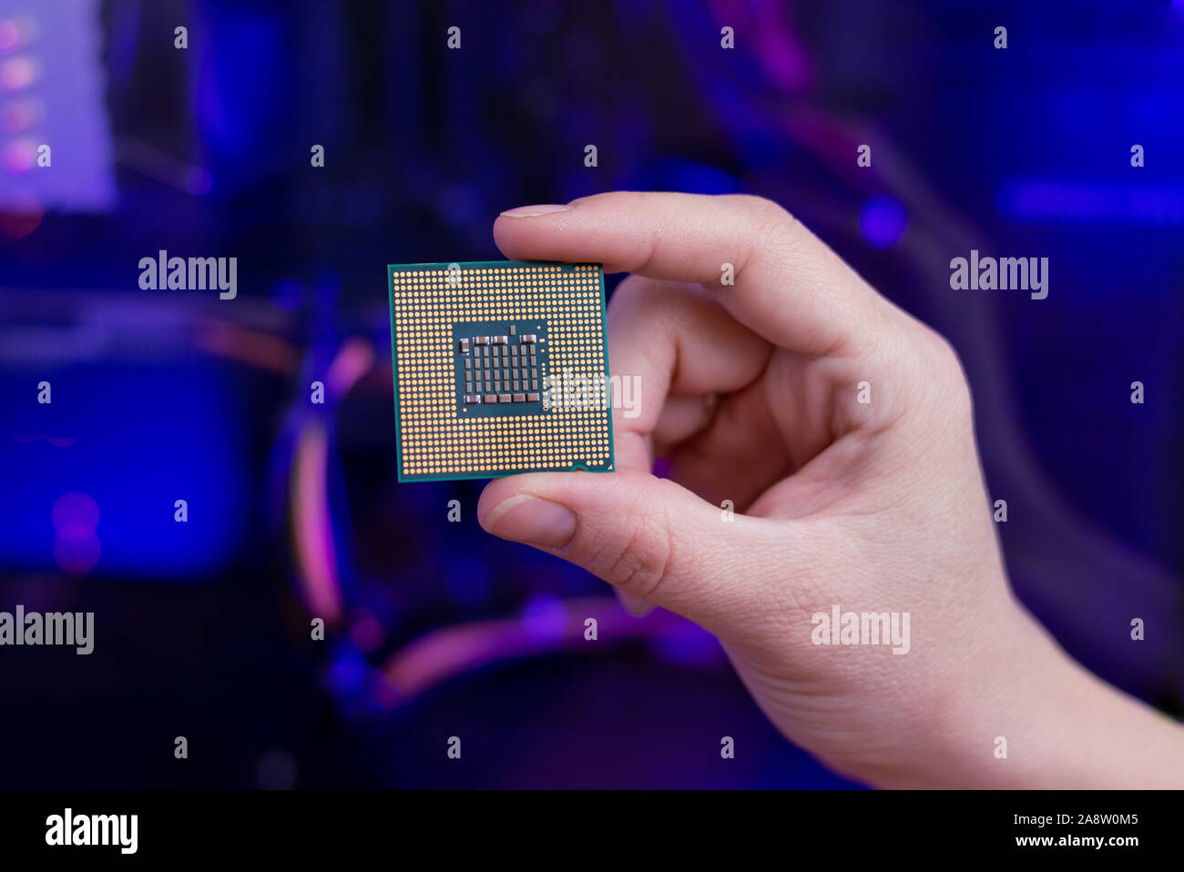 Retro di un processore per computer in mano. Alla luce RGB in background. Close-up. Foto Stock