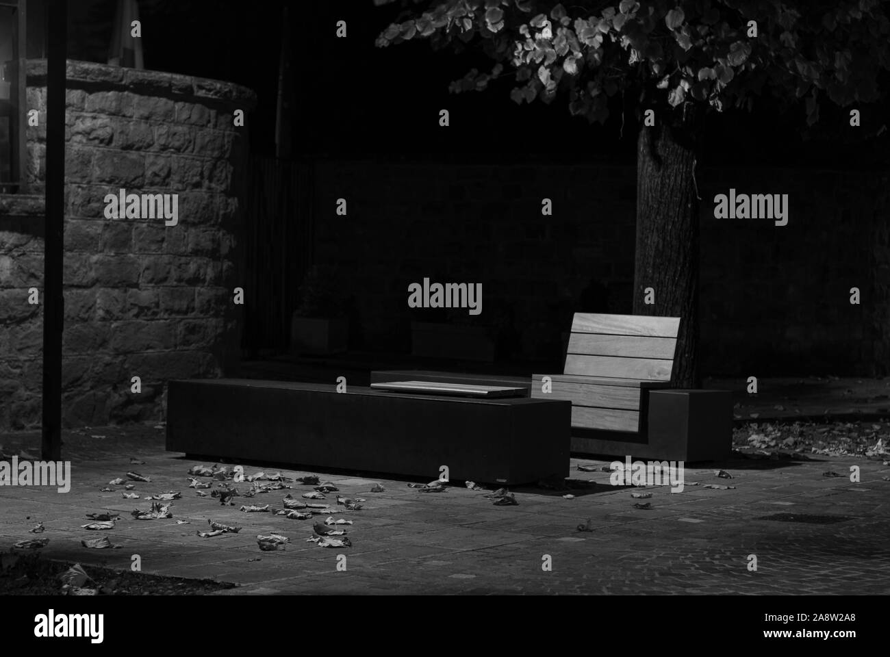 Panca in legno, illuminata da un lampione, presi in bianco e nero durante l'autunno Foto Stock