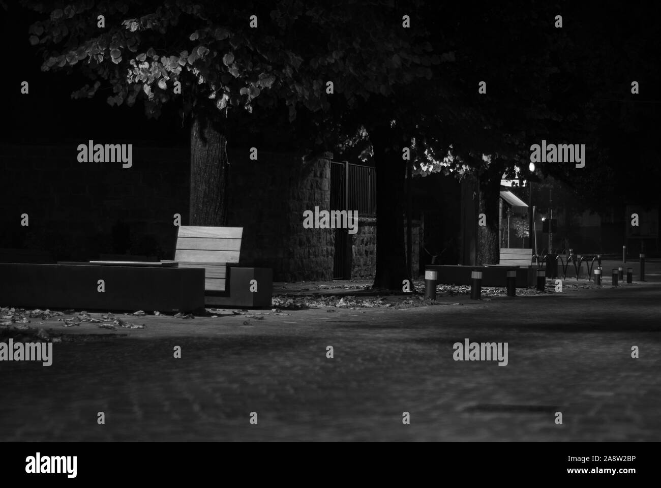 Colpo monocromatica di una città notte borough, tra alberi e foglie cadute in autunno Foto Stock
