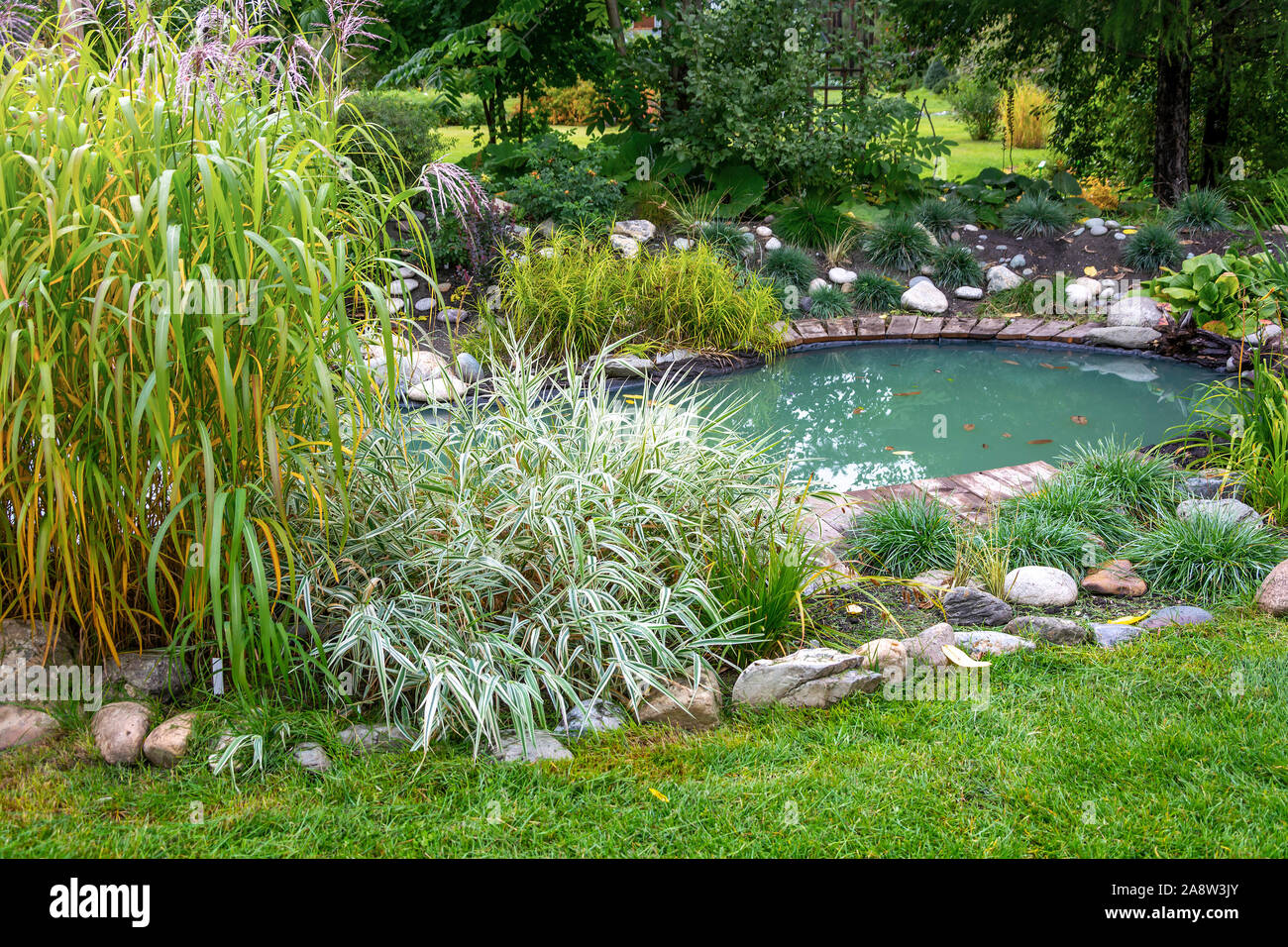 Decorativi disposti splendidamente laghetto in giardino d'autunno Foto Stock