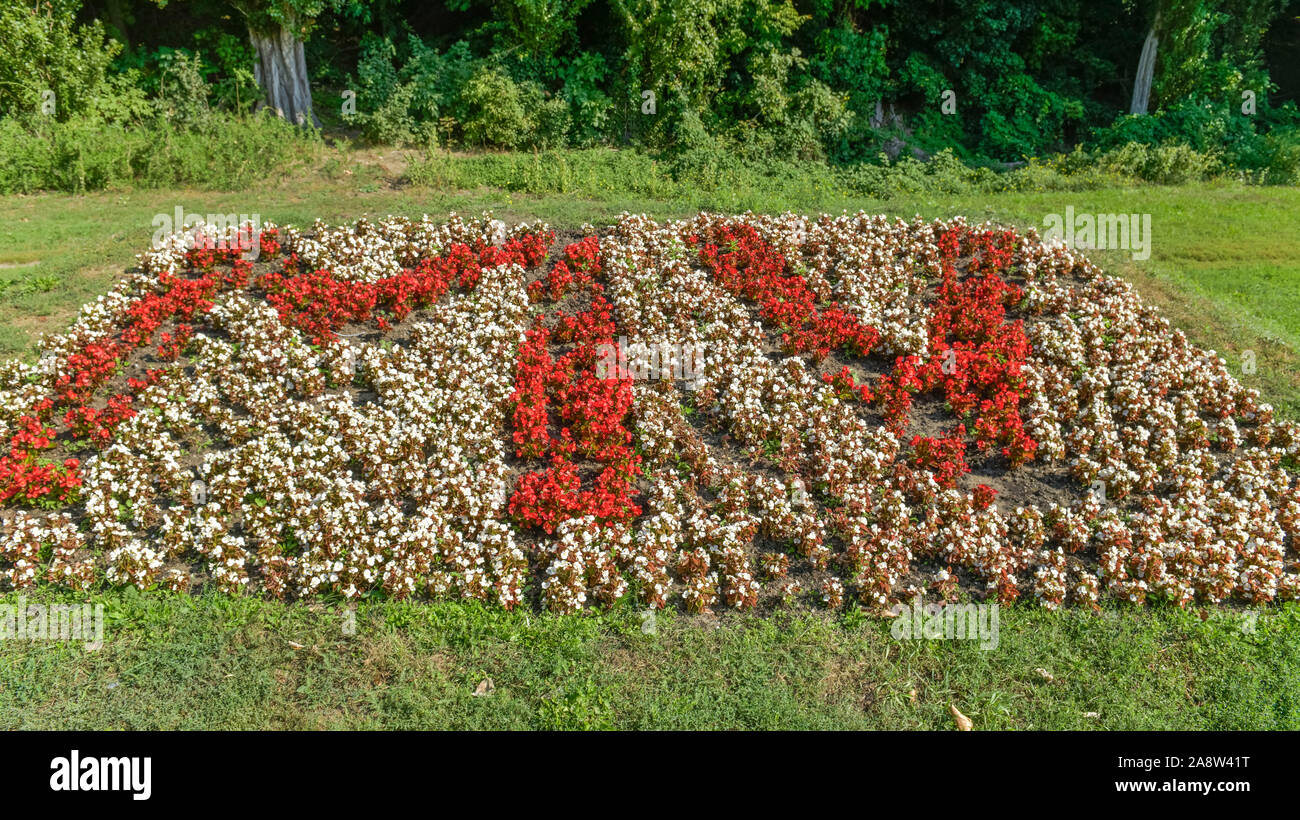 Blumen, MV, Märkisches Viertel, Reinickendorf, Berlino, Deutschland Foto Stock