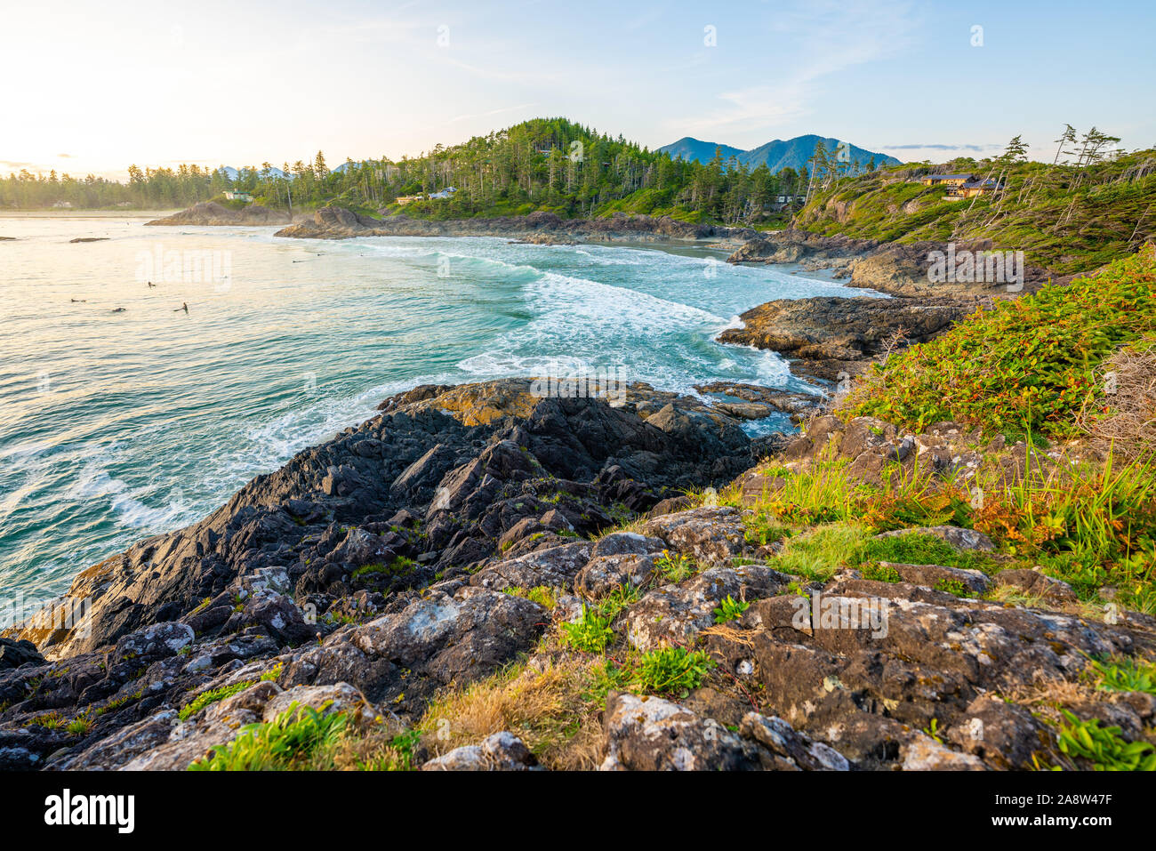 Tofino Harbour, l'isola di Vancouver. La British Columbia, Canada. Lunga spiaggia al tramonto Foto Stock