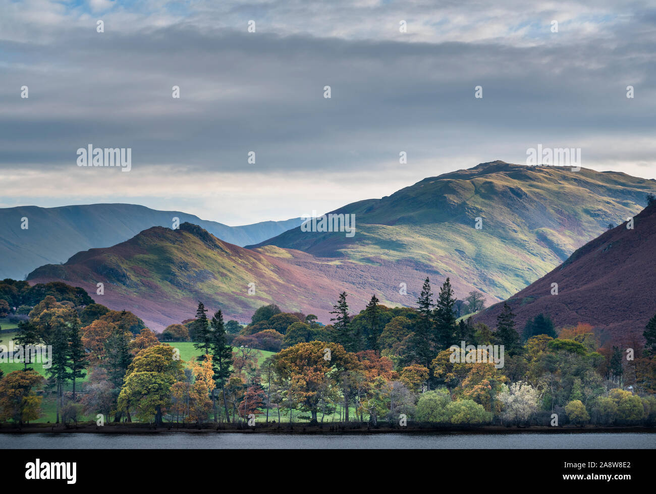 Inverno roccioso e testa di Beda fells / piccole montagne sopra gli alberi d'autunno a Sandwick nell'area Martindale del Lake District inglese in Cumbria Foto Stock