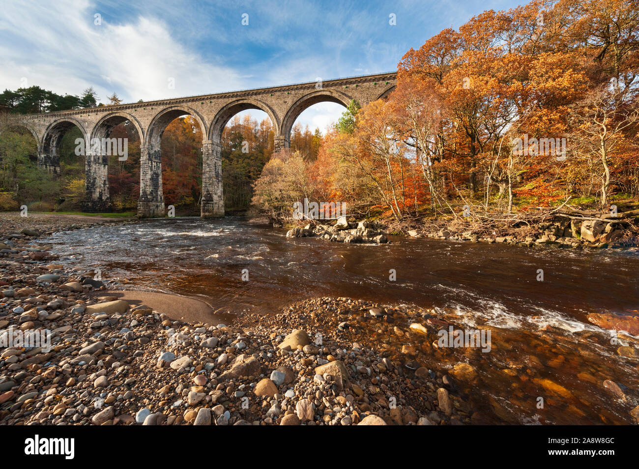 Autunno vibranti colori del bosco dove Lambley Viaduct portante il South Tyne Trail attraversa il fiume Tyne Sud del Northumberland Foto Stock