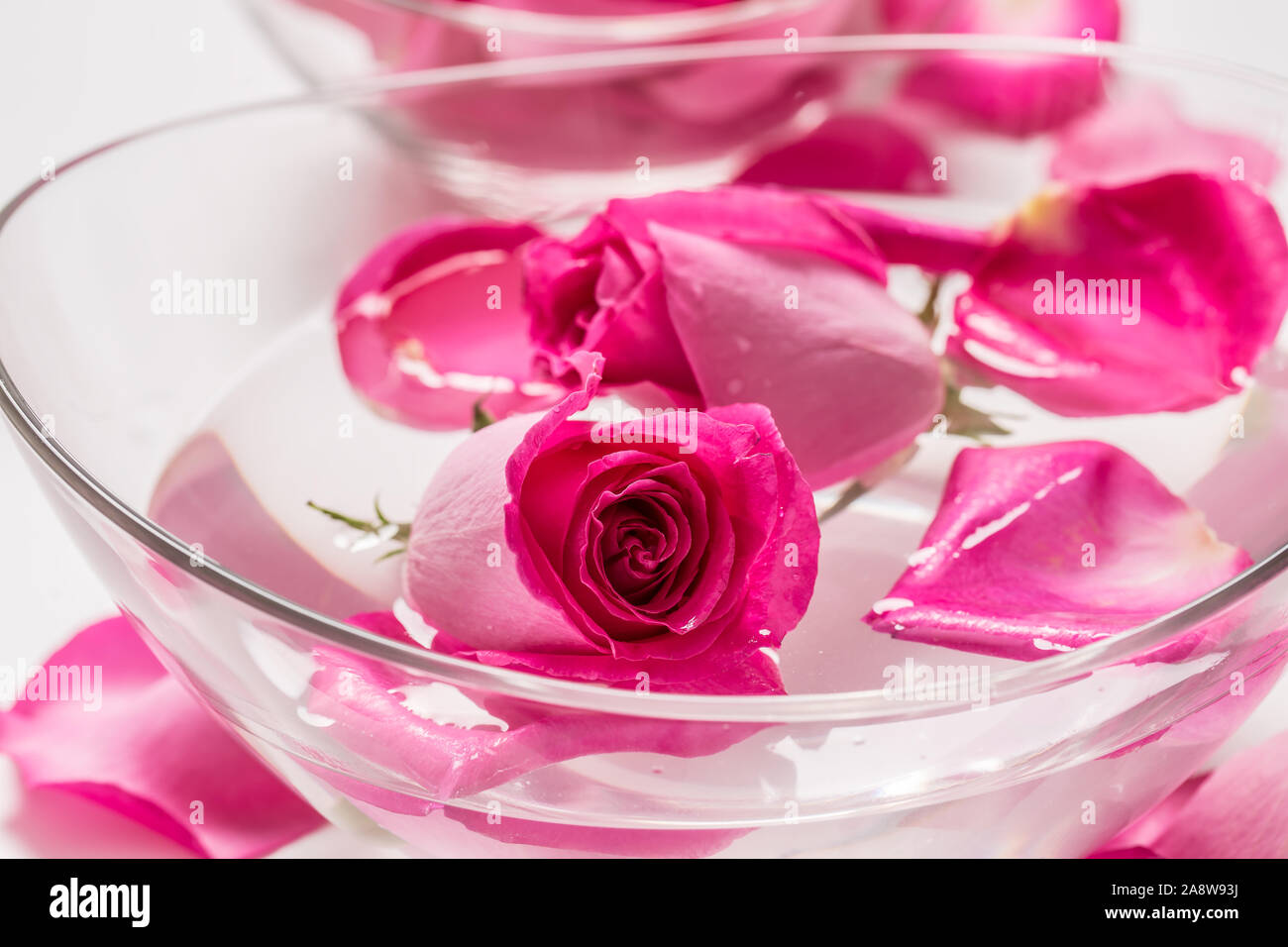 Le rose rosa e petali di fiori in vaso con acqua pura. Spa e il concetto di benessere Foto Stock