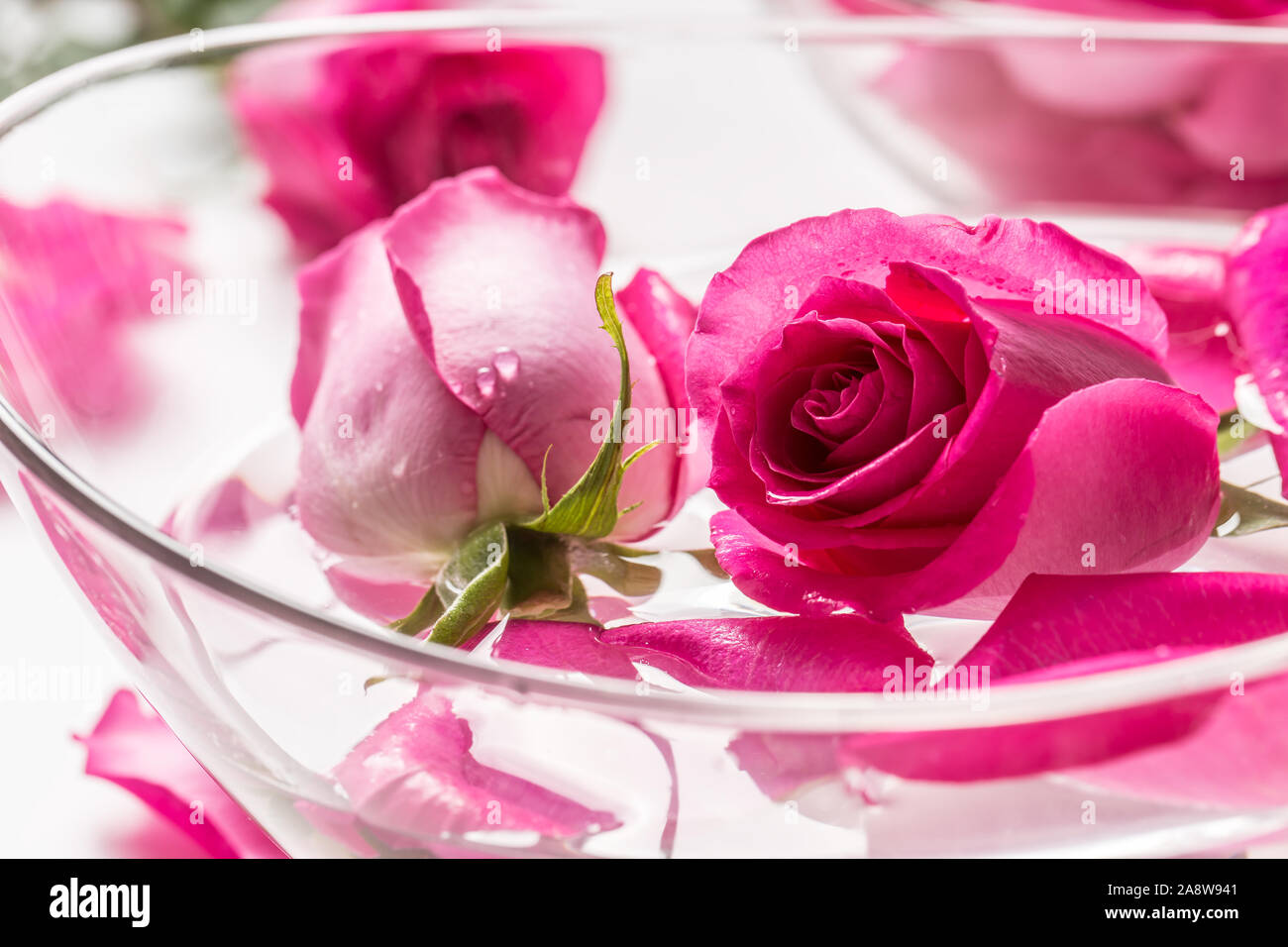 Le rose rosa e petali di fiori in vaso con acqua pura. Spa e il concetto di benessere Foto Stock