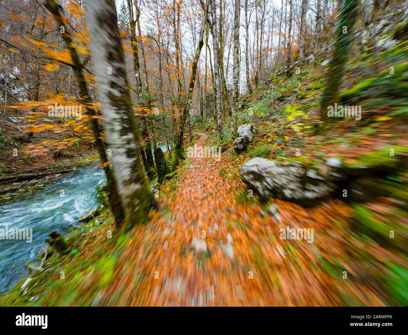 Autunno cadono nella stagione Kamacnik vicino Vrbovsko in Croazia intenzionalmente sfocato che rappresenta la velocità rapida di oggetti in movimento rapido Foto Stock