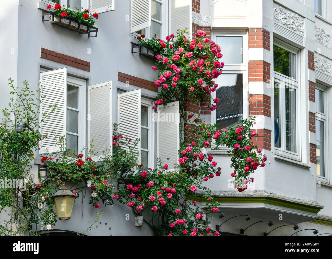 Rosen, Hausfassaden, Hohe Straße, Schnoorviertel, Brema, Deutschland Foto Stock